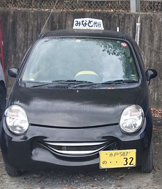 男女代行ドライバー