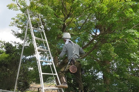 作業スタッフ